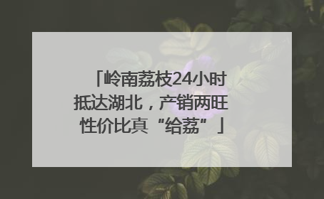 岭南荔枝24小时抵达湖北，产销两旺性价比真“给荔”